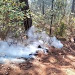 Investigan denuncia por dos borregos encarcelados en una cárcel de la mixteca