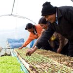 Más de 10 mil personas presenciaron el Primer Convite de la Guelaguetza 2023