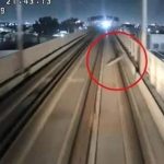 Mosco del dengue, más activo en las mañanas y al anochecer