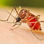 Debutará como actor en serie española